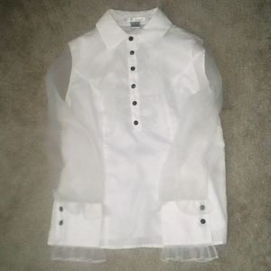 Vintage Sheer Sleeve Collared Dress Shirt